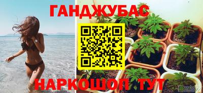 гашик Кулебаки