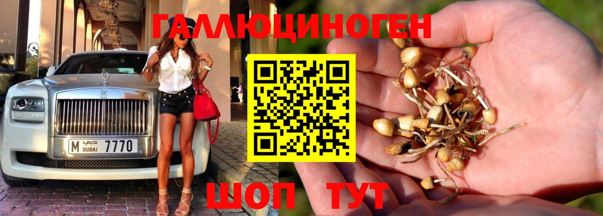 сколько стоит  Галлюциногенные грибы мицелий  Заволжье  Вход с VPN  Псилоцибиновые грибы ЛСД 