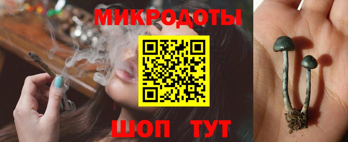 Псилоцибиновые грибы Psilocybe Заволжье